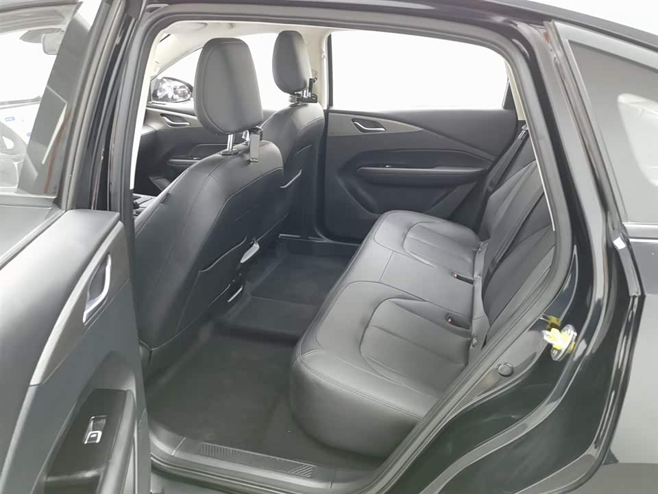 Wuling Wuling Starlight