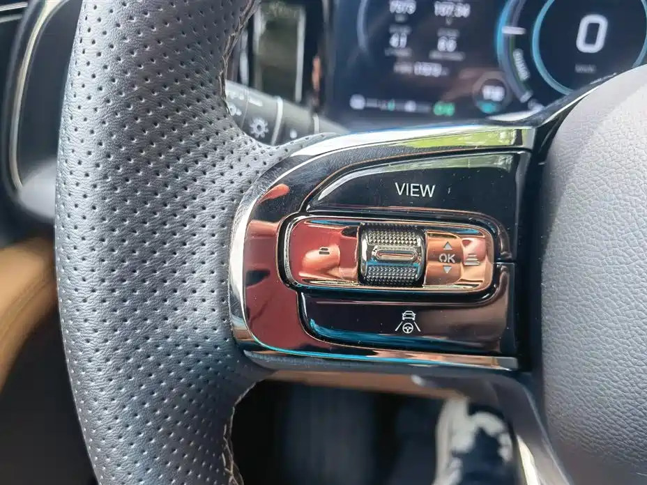 Trumpchi Trumpchi ES9