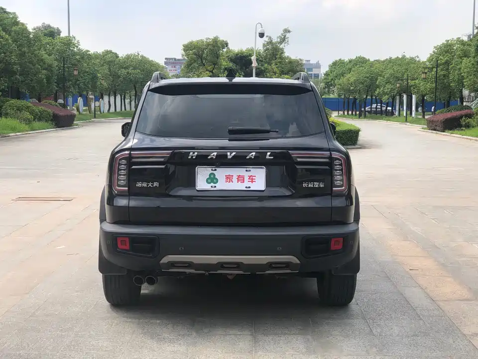 Haval Big dog