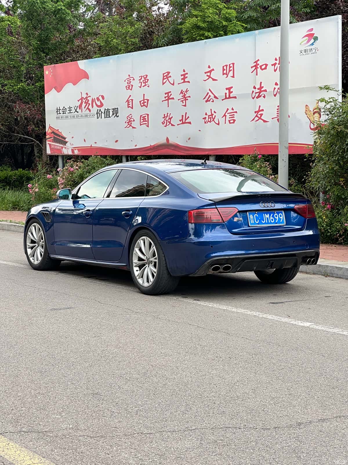 Audi S5, 2012 все фото