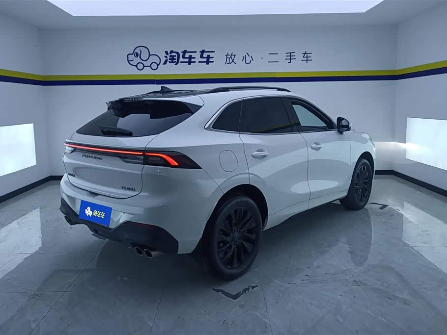 Forthing Popular T5 EVO