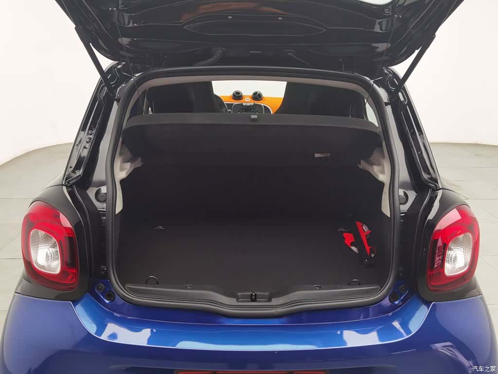 Smart Forfour, 2017 16