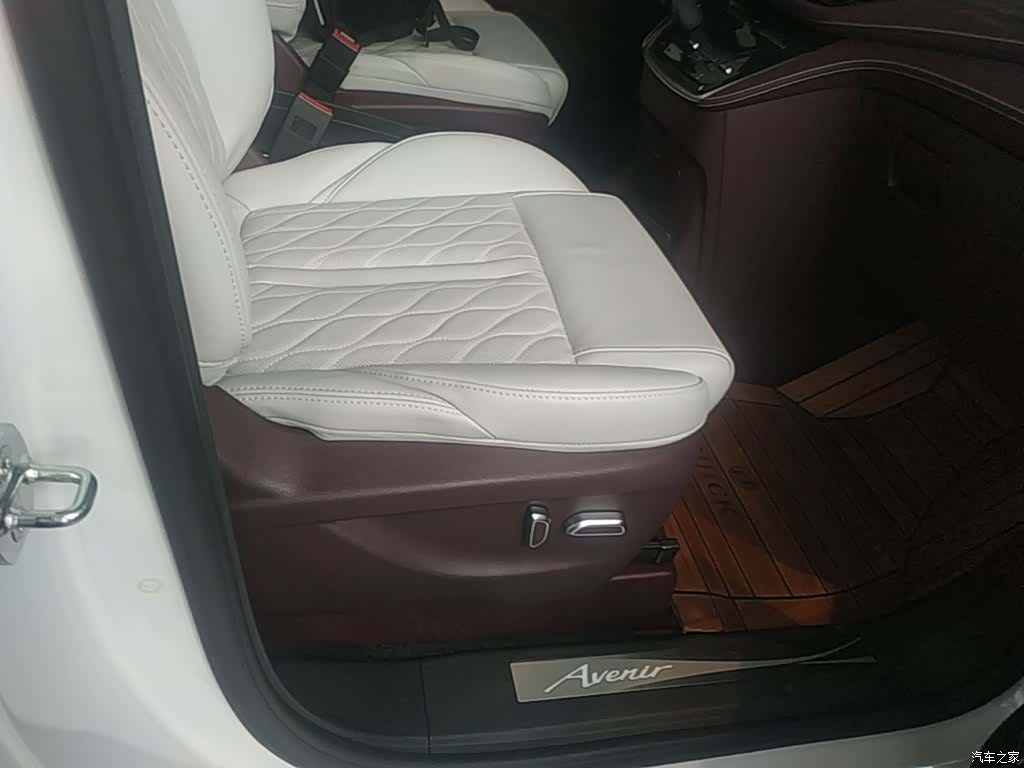 Buick GL8, 2022 25