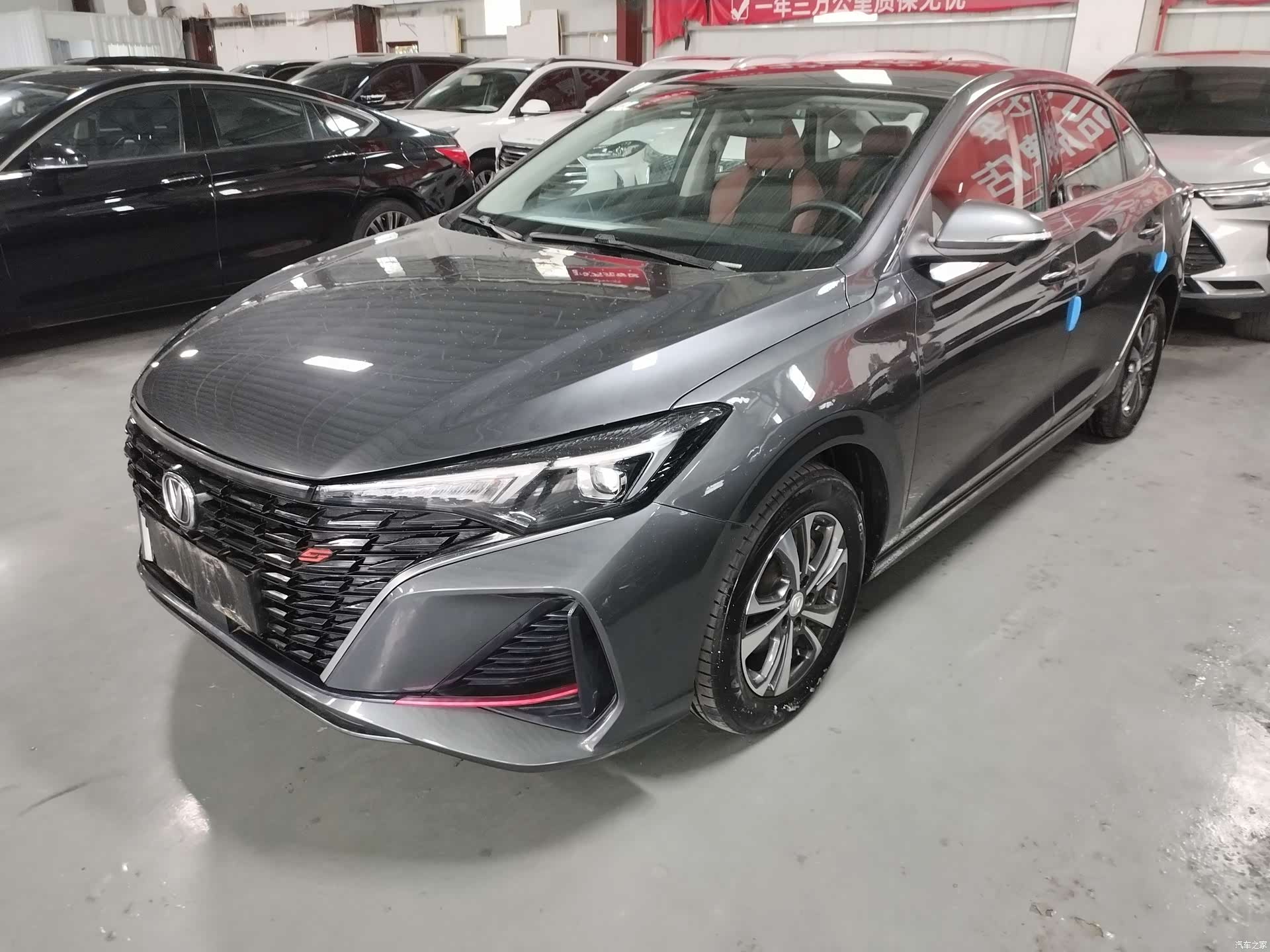 Changan Eado, 2023 1