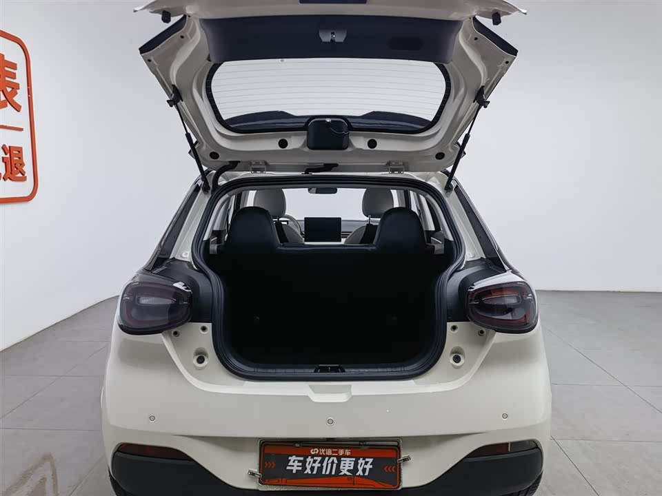 Dongfeng Nammi Nano 01