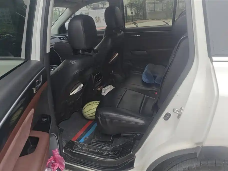 Trumpchi Trumpchi GS8