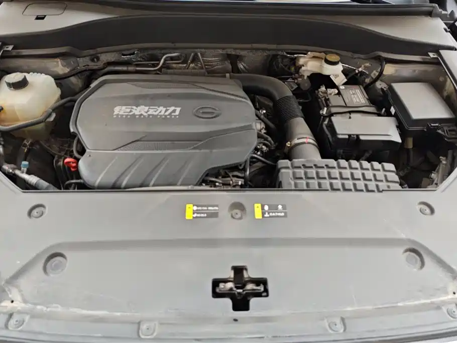 Trumpchi Trumpchi GS8