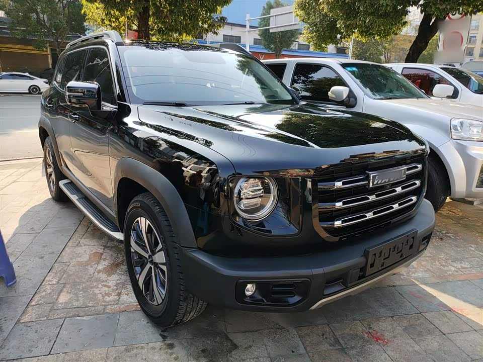 Haval Big dog