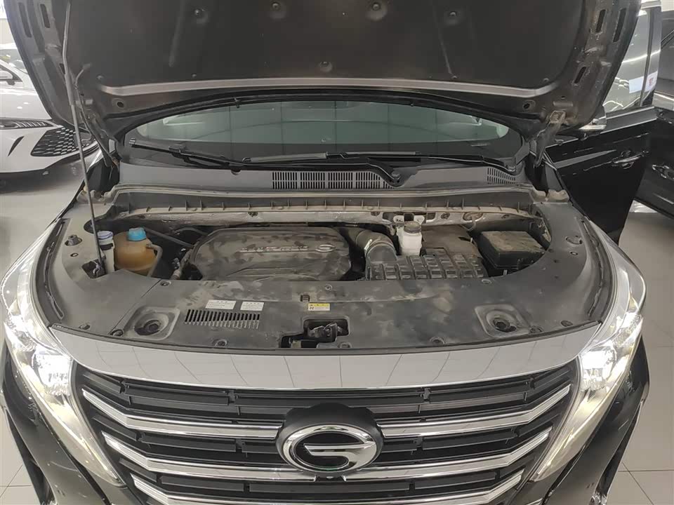 Trumpchi Trumpchi M8