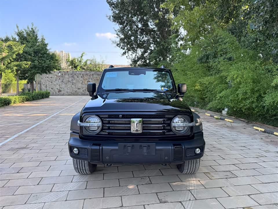 Tank 300