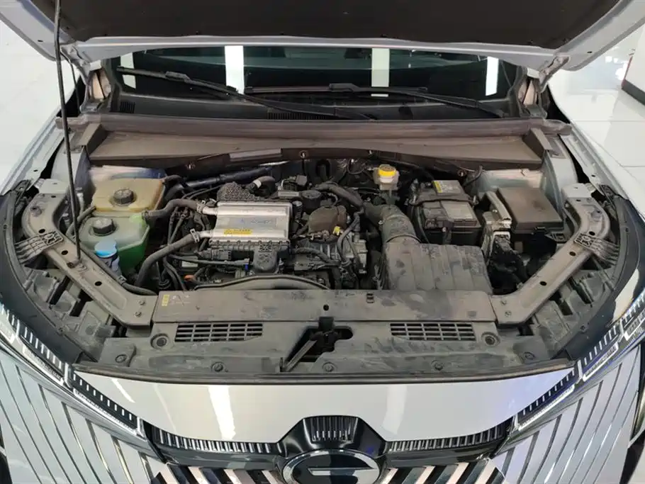 Trumpchi Shadow cool