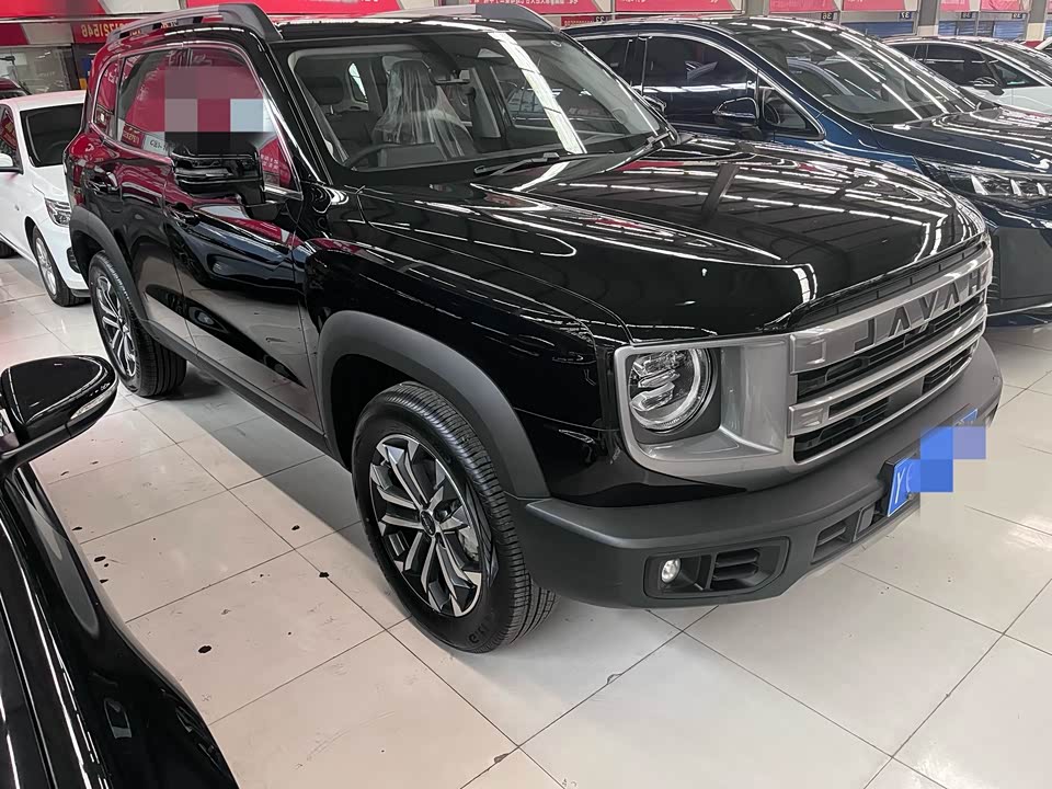 Haval Big dog