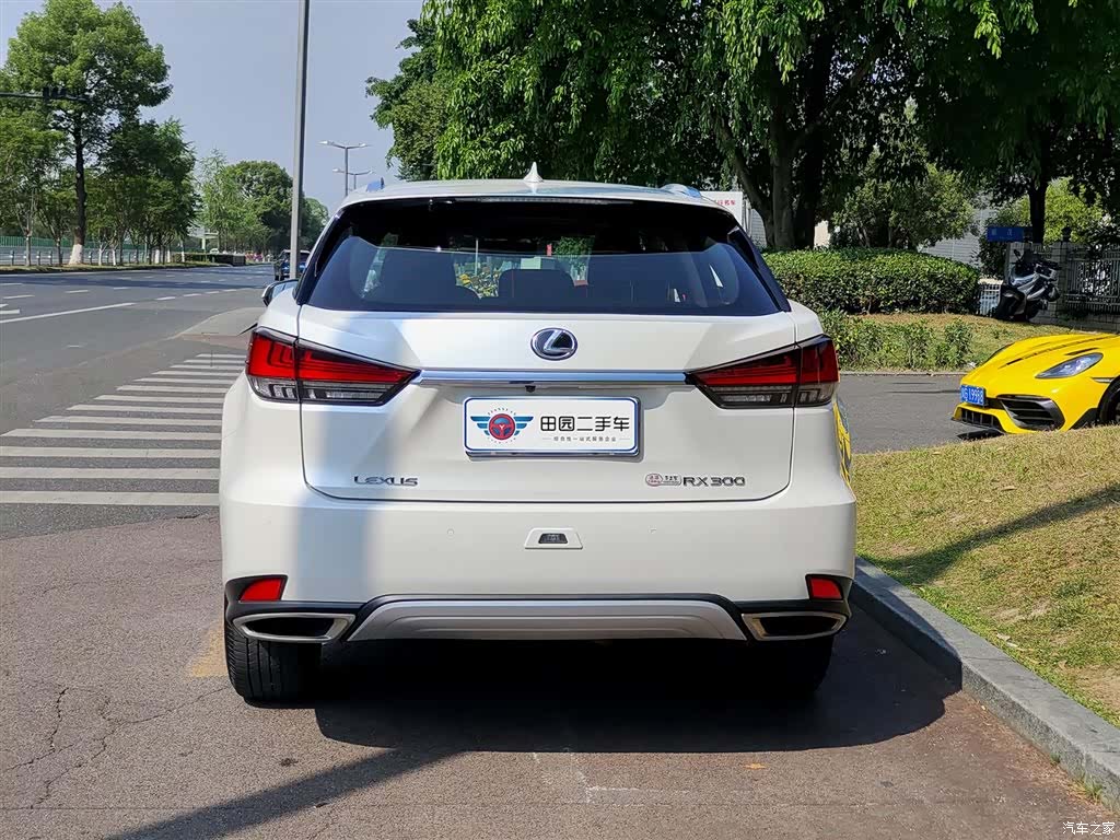 Lexus RX, 2021 все фото