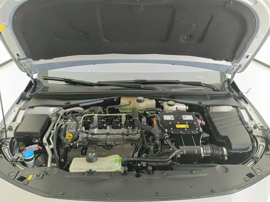 Trumpchi Shadow Leopard