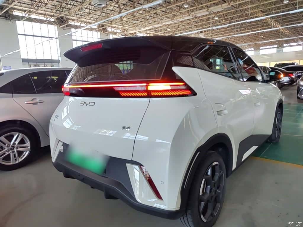 BYD Seagull, 2024 7