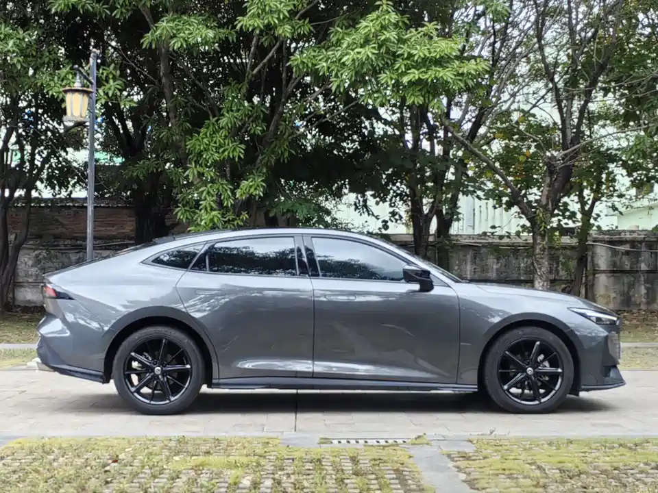 Trumpchi Shadow Leopard