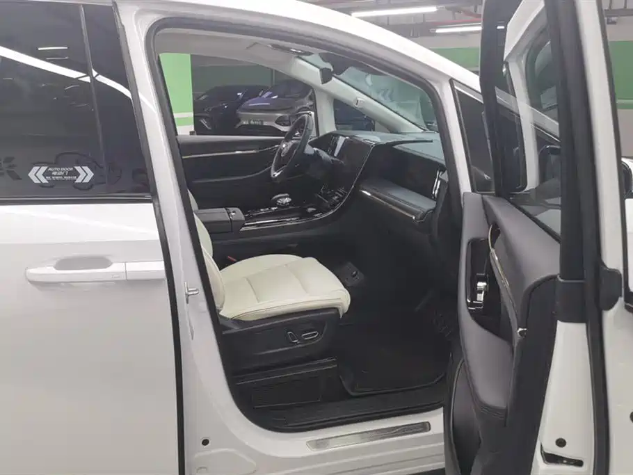 Trumpchi Trumpchi E9