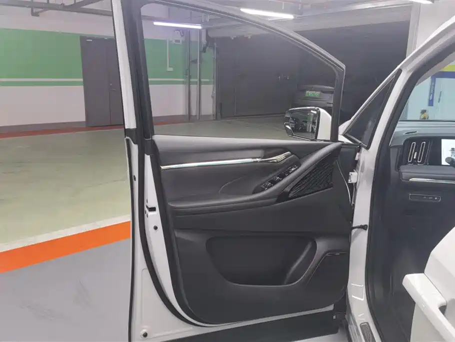 Trumpchi Trumpchi E9