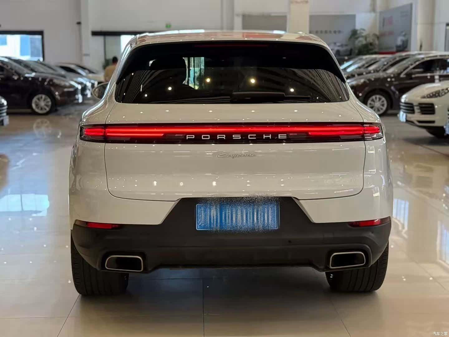 Porsche Cayenne, 2023 все фото