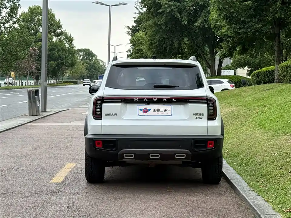 Haval Big dog