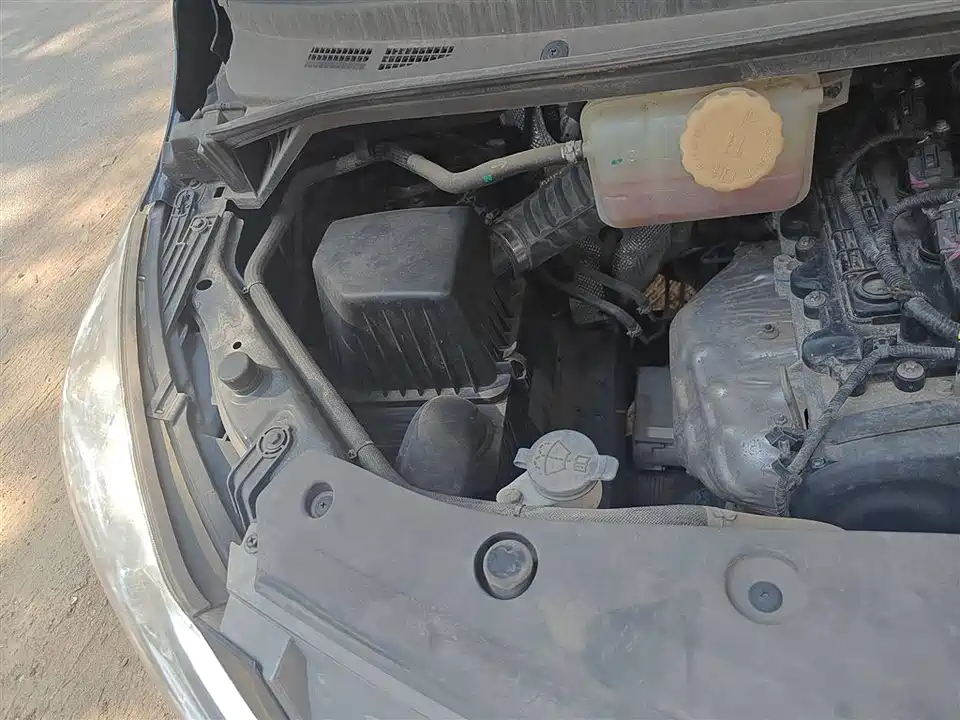 Forthing Lingzhi PLUS