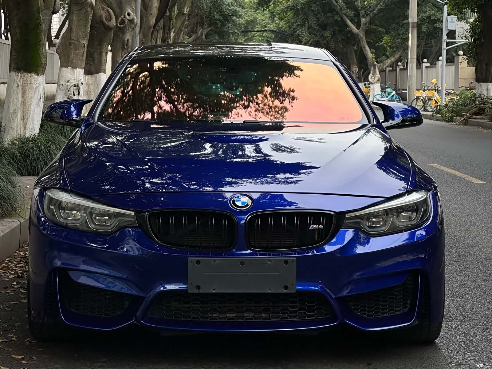 BMW M4, 2019 2