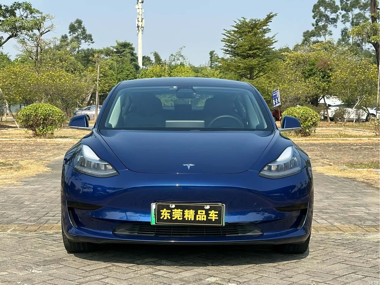 Tesla Model 3, 2019 2