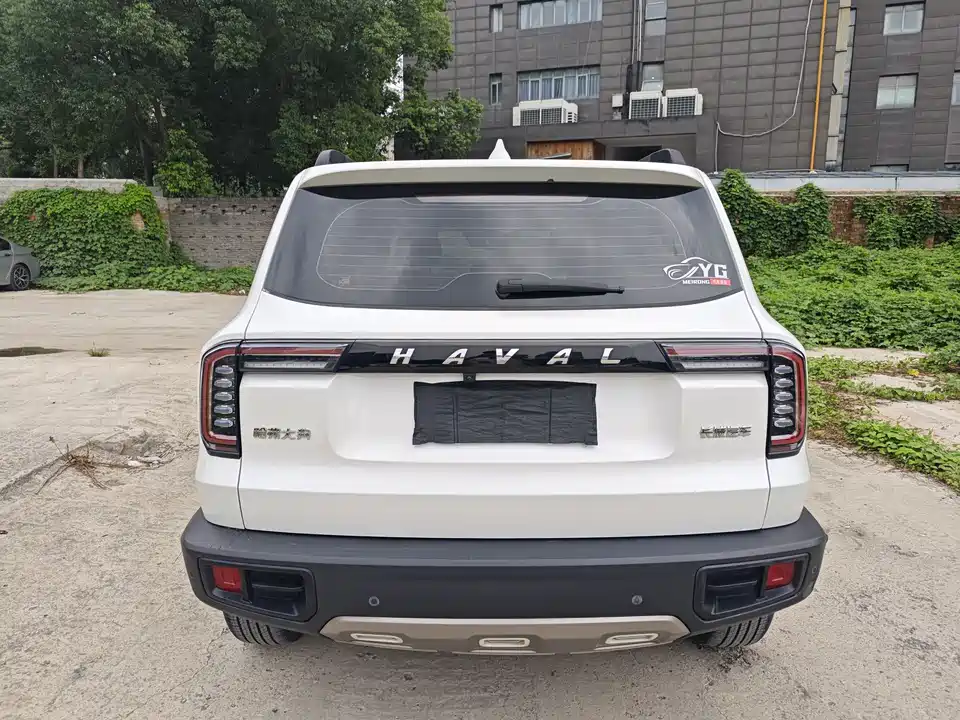 Haval Big dog