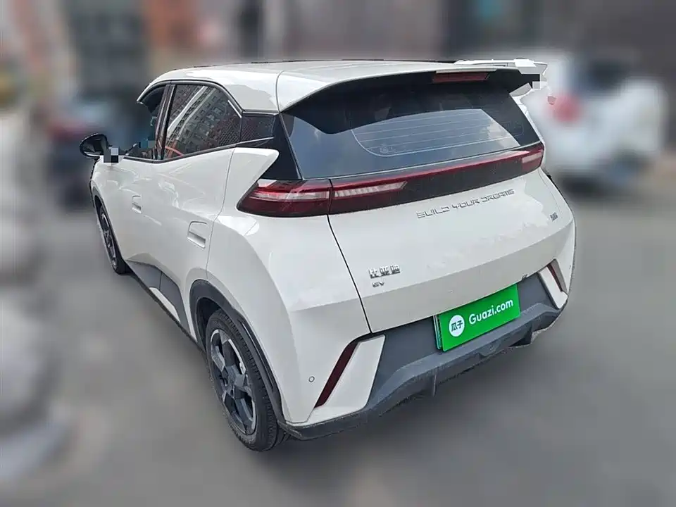 BYD Seagull