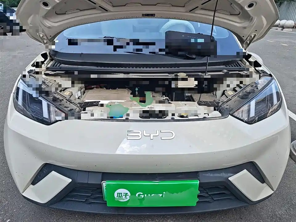 BYD Seagull