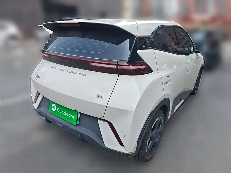 BYD Seagull