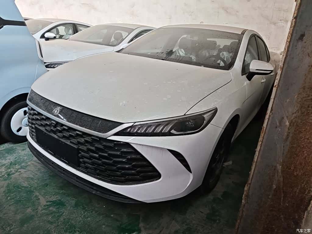BYD Qin, 2026 1