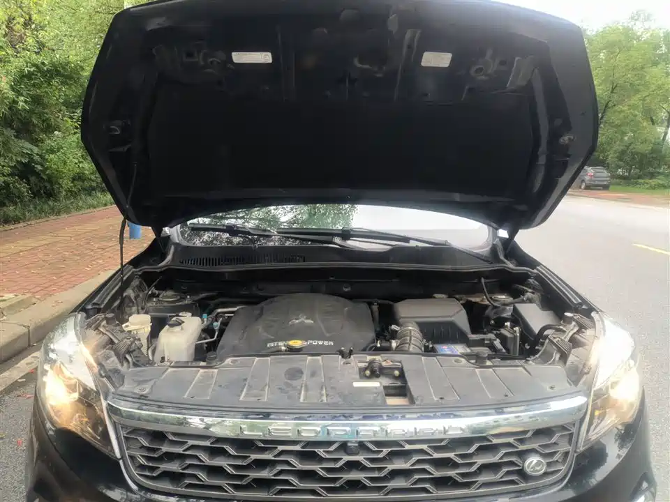 Leopaard Cheetah CS10