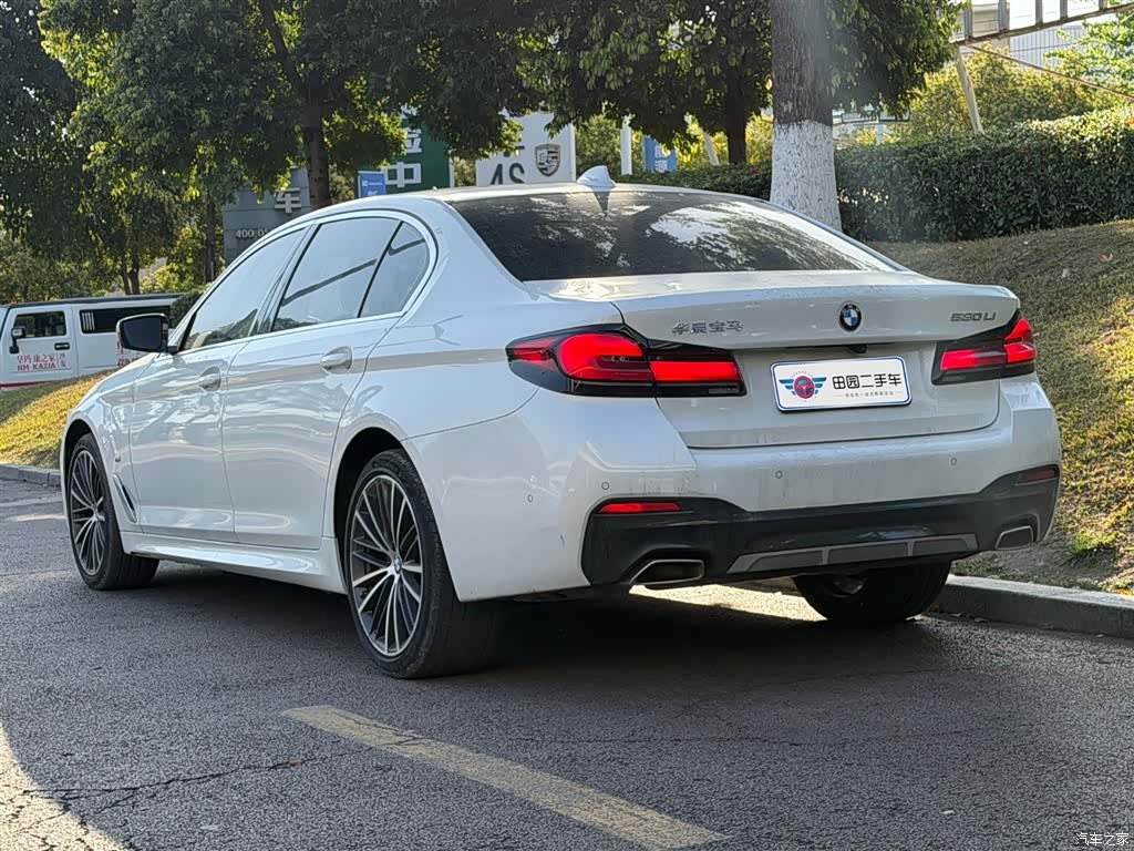 BMW 5 Series, 2020 4