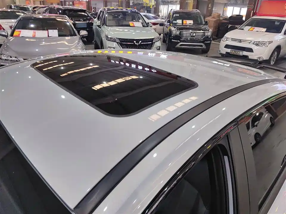 Trumpchi Shadow Leopard