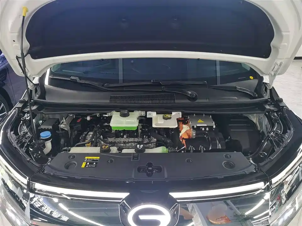 Trumpchi Trumpchi E8