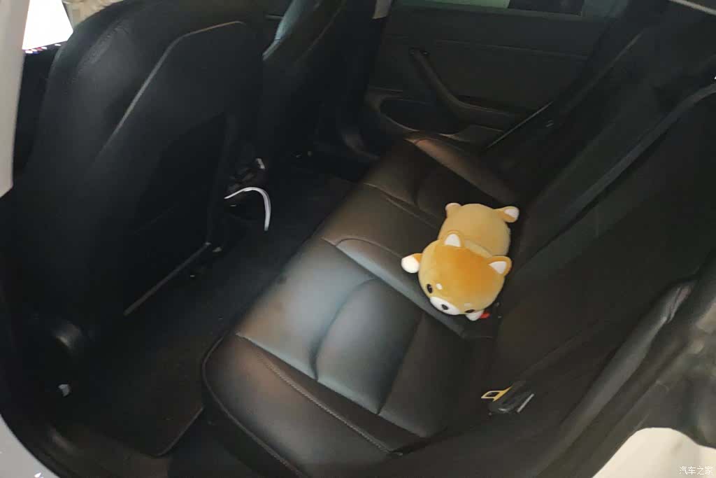 Tesla Model 3, 2020 11
