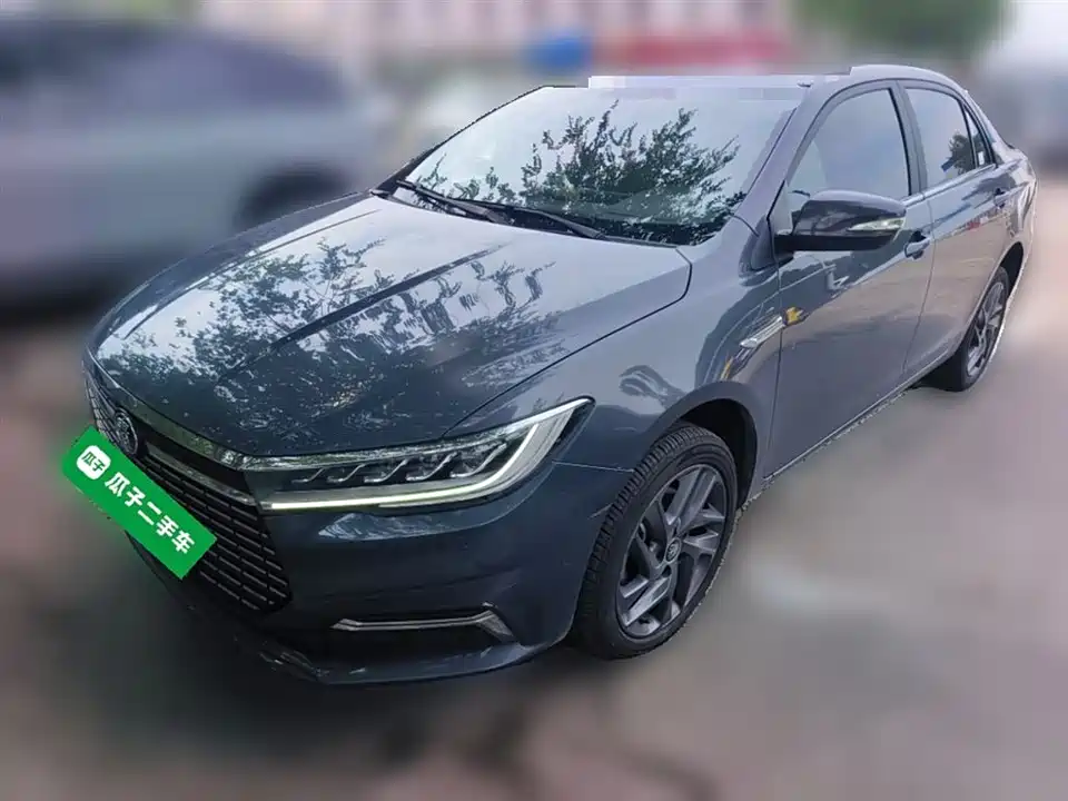 BYD Qinxin Energy