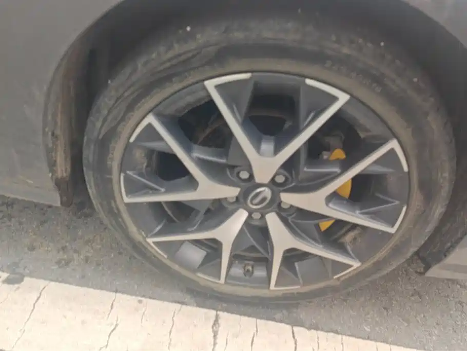 Trumpchi Shadow Leopard