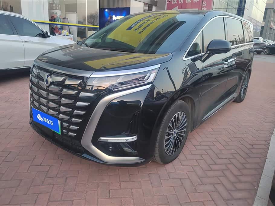 Denza D9