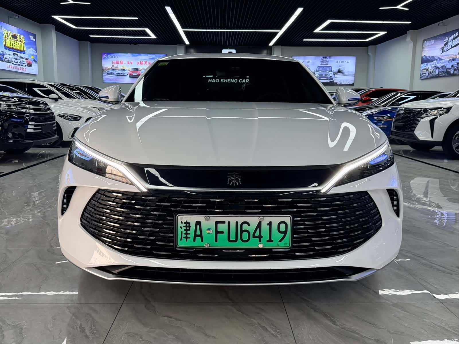 BYD Qin, 2024 2
