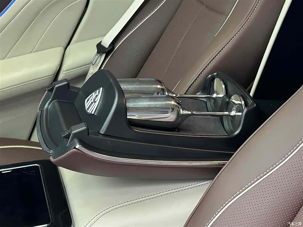 Maybach GLS, 2024 21