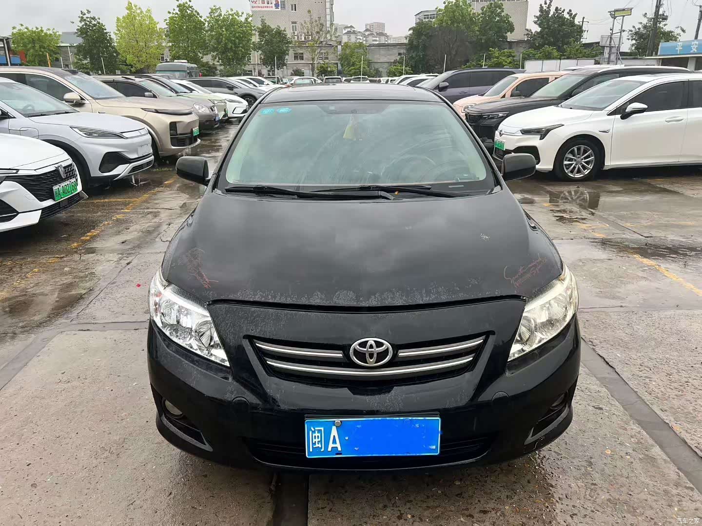 Toyota Corolla, 2010 2
