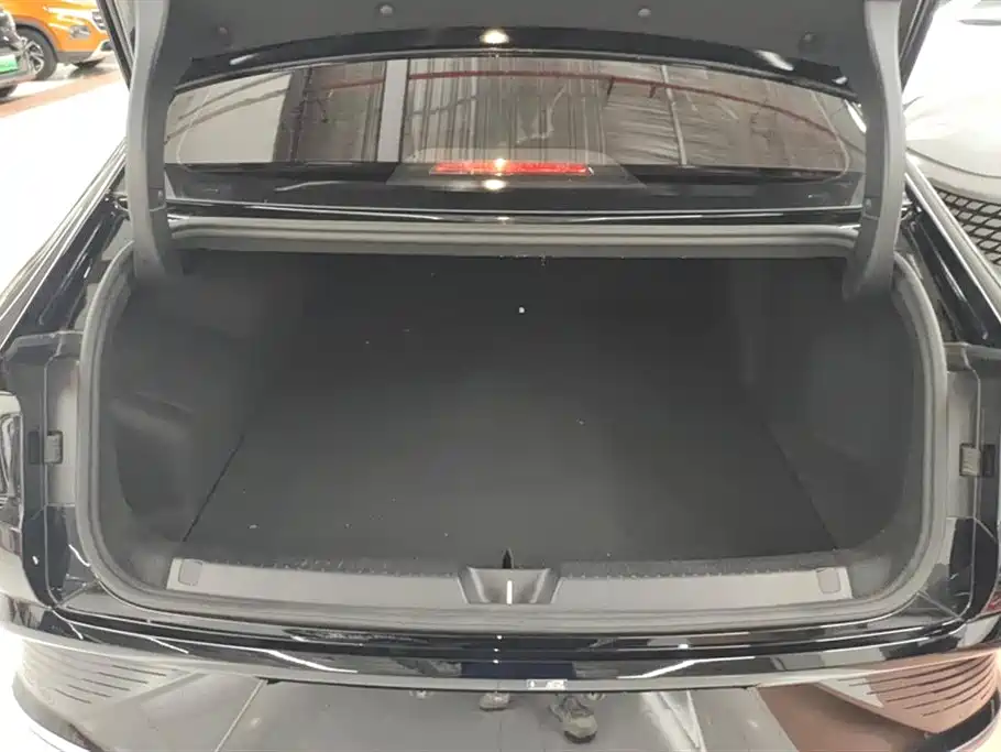 Wuling Wuling Starlight