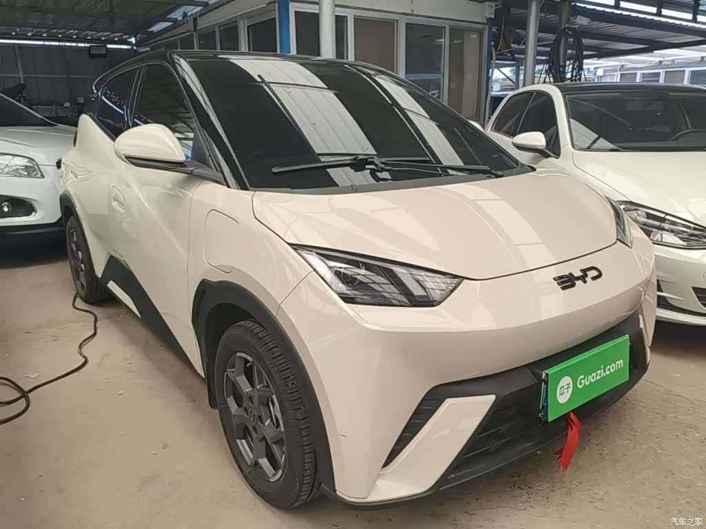 BYD Seagull, 2024 4