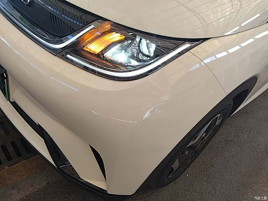 BYD Dolphin, 2022 24