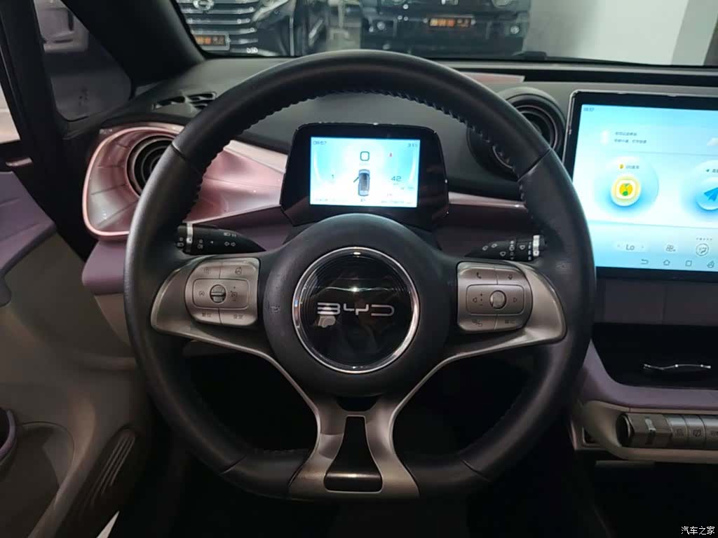 BYD Dolphin, 2022 11