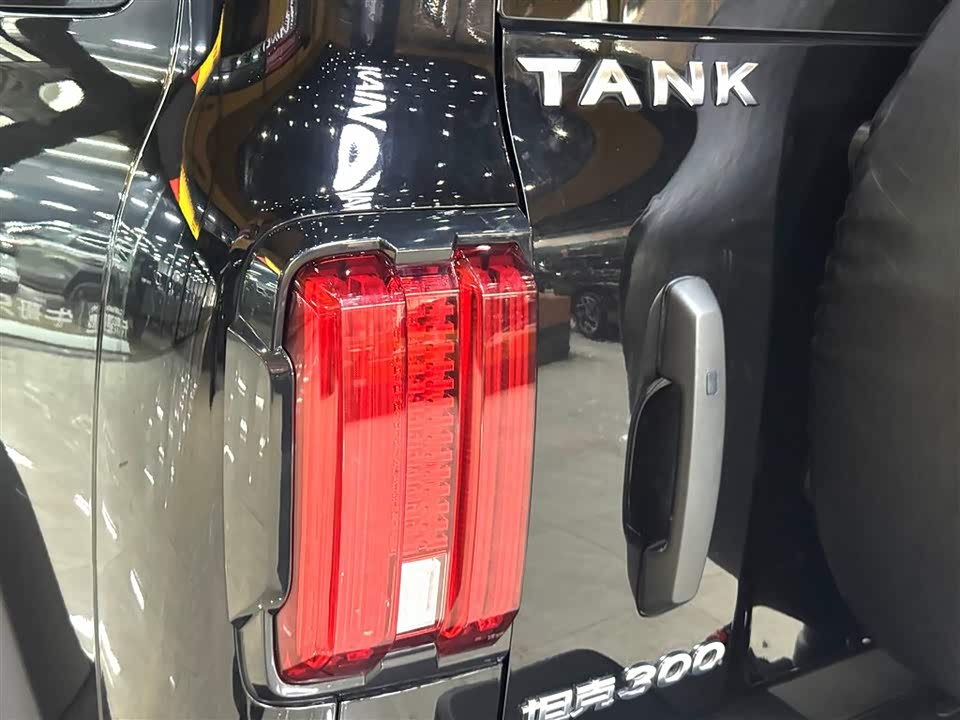 Tank 300