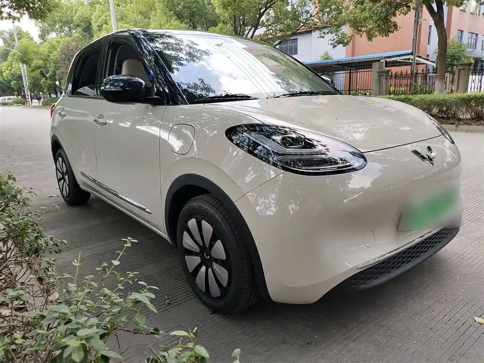 Wuling Wuling Bingguo