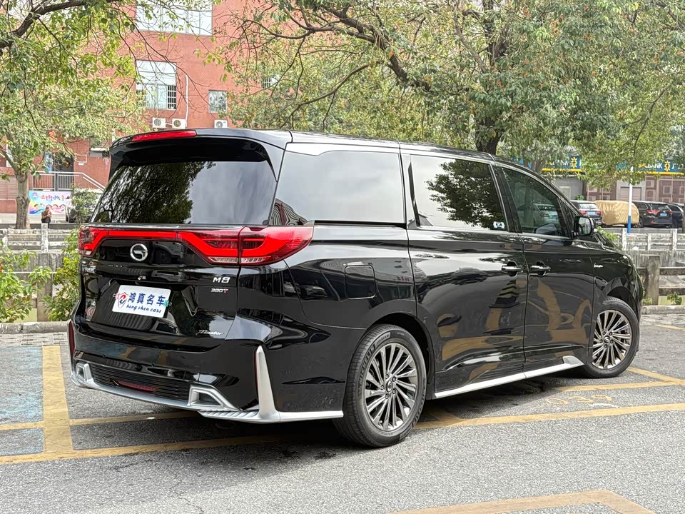 Trumpchi Trumpchi M8